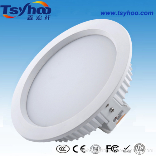 LED Downlight (BESD-TD08-20W)